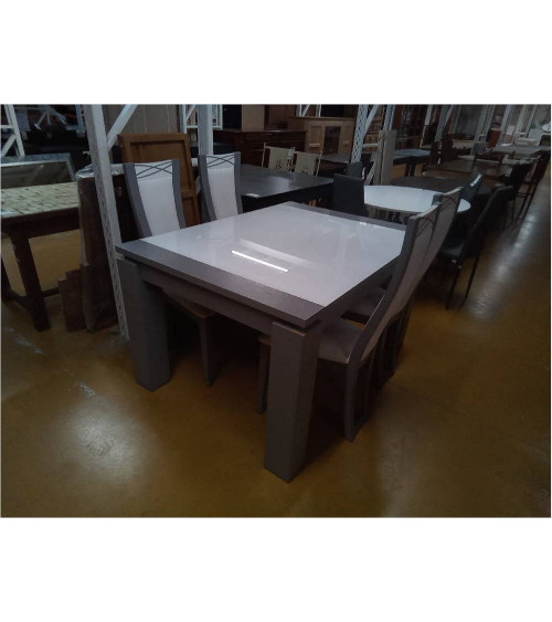 TABLE ET 4 CHAISES
