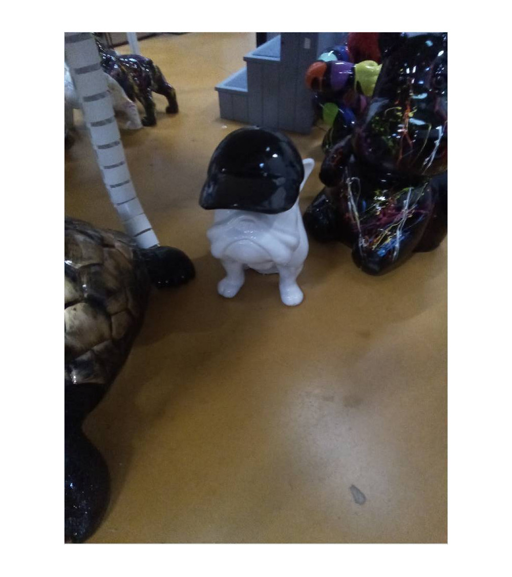 BULL CASQUETTE MM