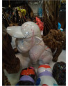 BULL CASQUETTE MM