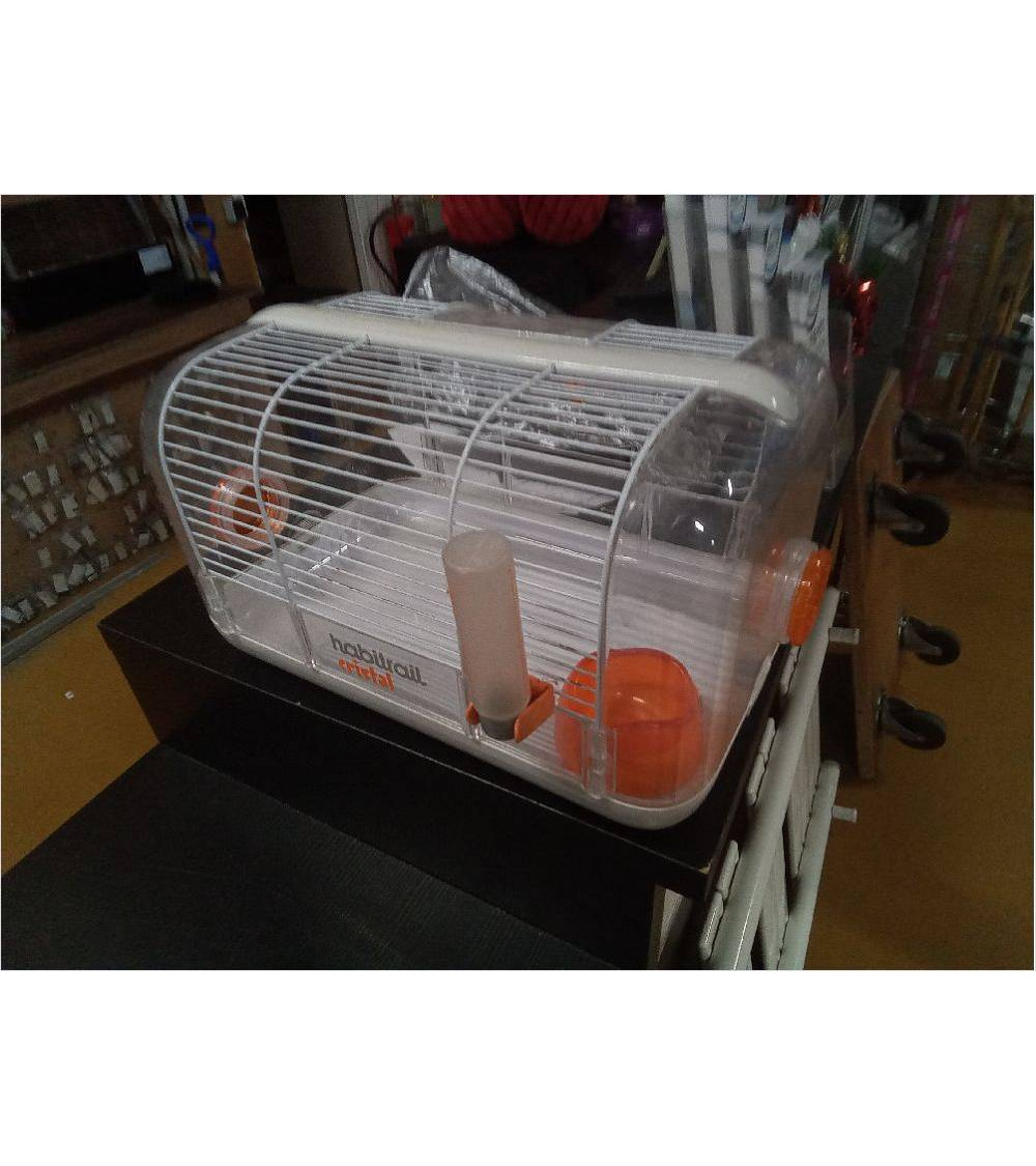 CAGE A AMSTER