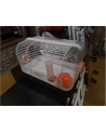 CAGE A AMSTER