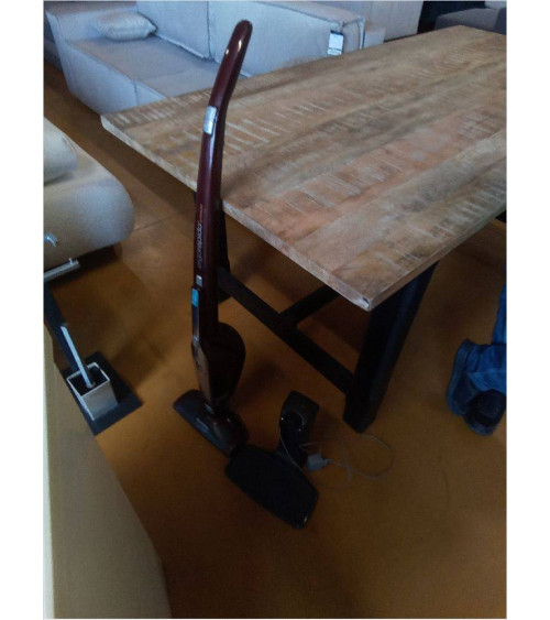 ASPIRATEUR ERGORAPIDO