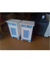 PAIRE DE CHEVETS PEINTS