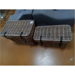 LOT DE 2 MALLES
