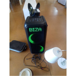 ENCEINTE IBIZA GRAFFIK600