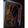 APPAREIL A RACLETTE 