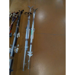 SKI BATONS