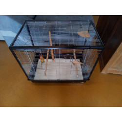 CAGE
