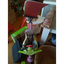 TRICYCLE 