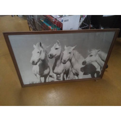 CADRE CHEVAUX