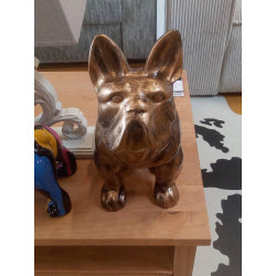CHIEN ASSIS