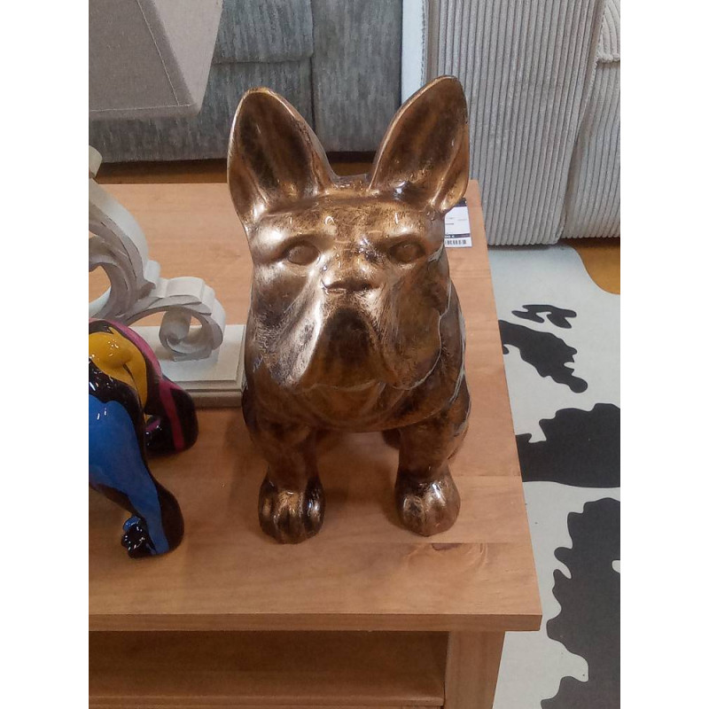 CHIEN ASSIS