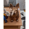 CHIEN ASSIS