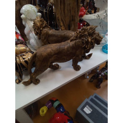 LION NATURE MM