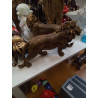 LION NATURE MM