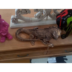 IGUANE PM
