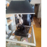 LAMPE
