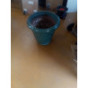 POT