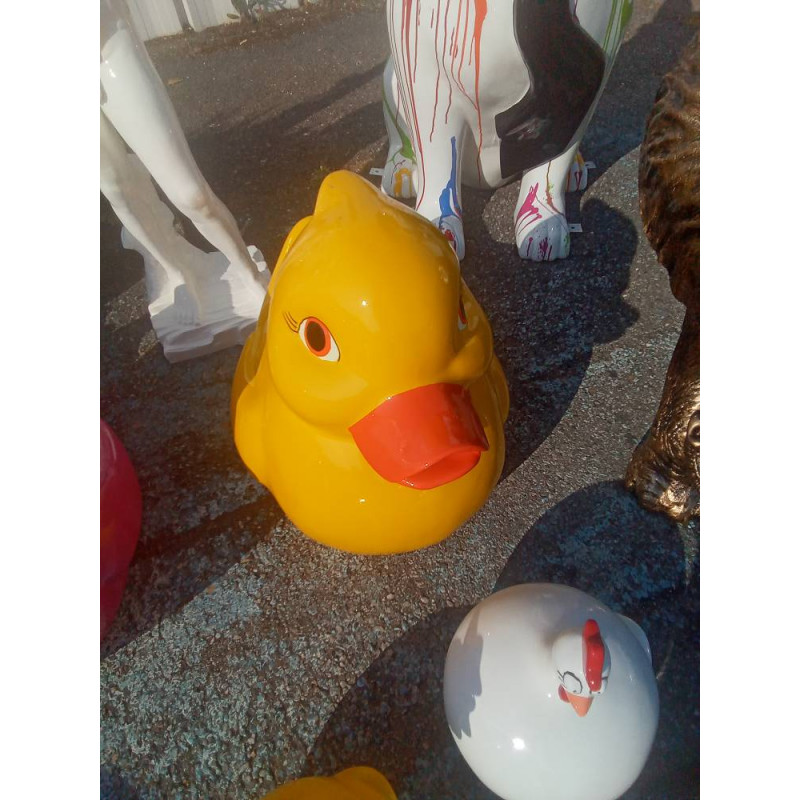 CANARD GM