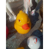 CANARD GM