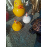 POULE PM