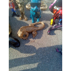 IGUANE 60CM