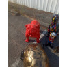 BULL USA ROUGE 80 CM